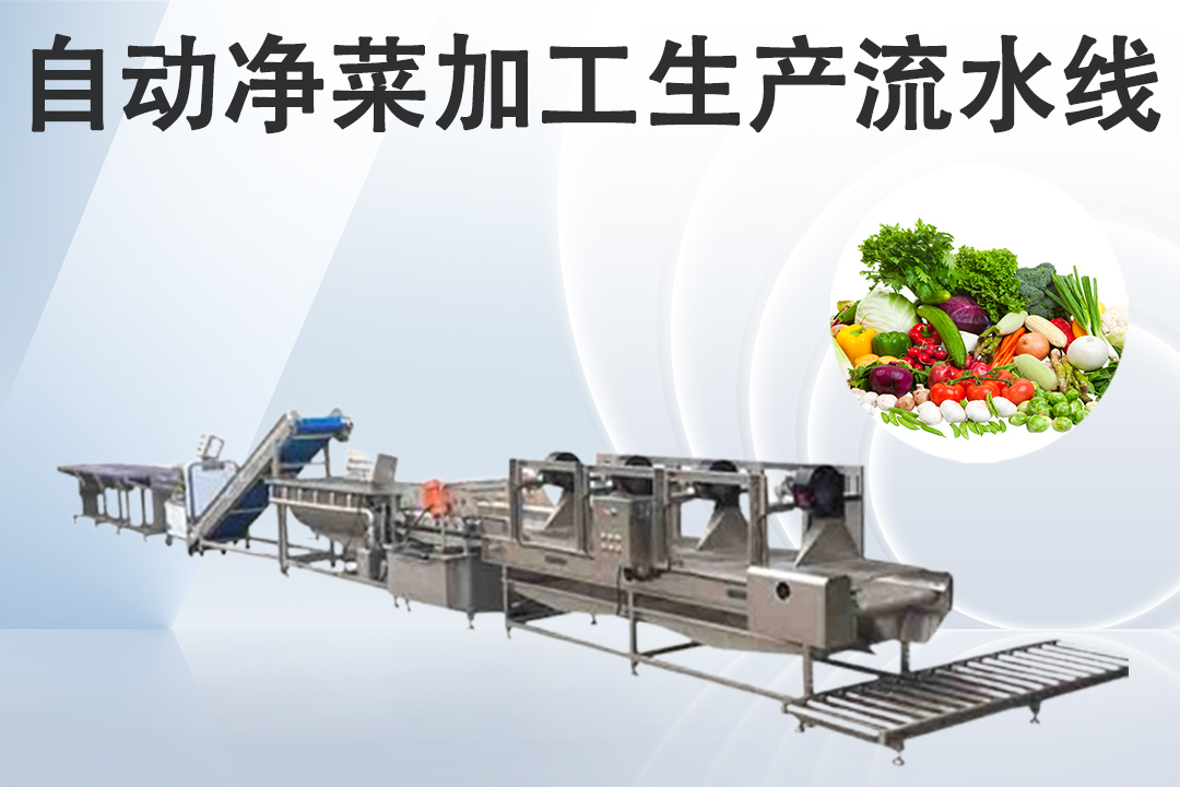 净菜午夜男女视频流水线